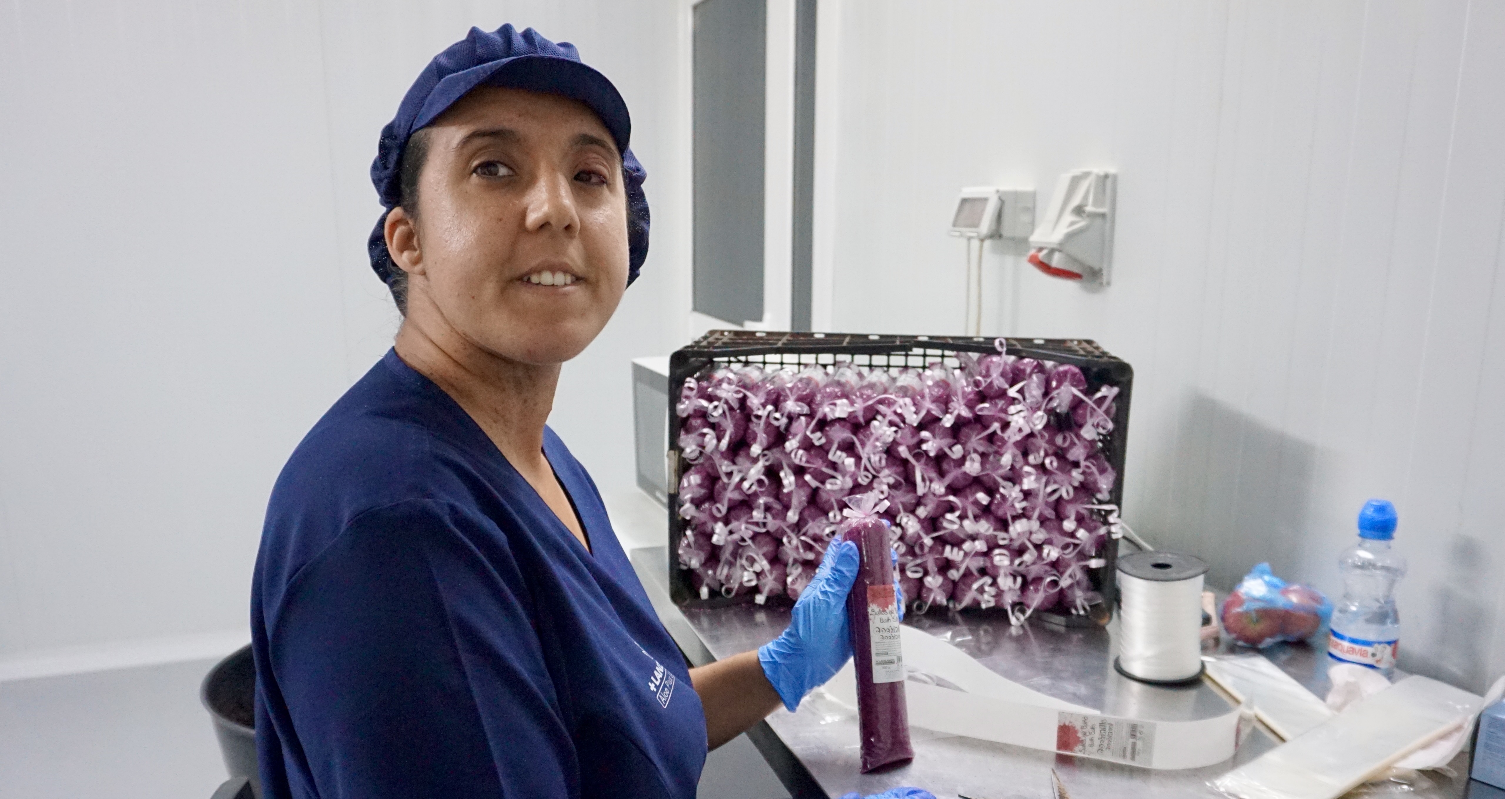 La inserción sociolaboral de las personas con discapacidad intelectual, un reto compartido